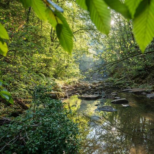 Wetter in Baden-Württemberg