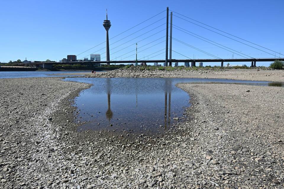 Niedrigwasser im Rhein Niedrigwasser im Rhein