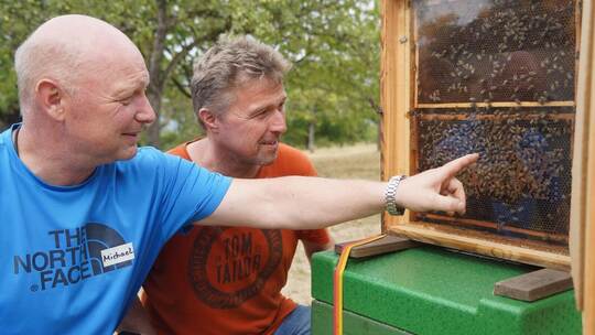 Die erfahrenen Imker Michael Landschulz und Markus Schlegel (von links) zeigen den Kindern, wie es in einem Bienenstock aussieht