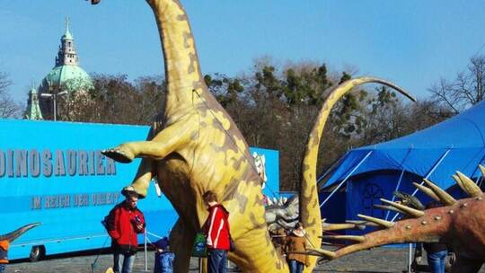 Täuschend echte Dionsaurier-Modelle, wie der Brachiosaurus und der Tyrannosaurus, sind bei der Wanderausstellung zu sehen. Wagne