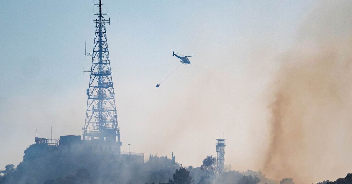 Forest fires only have natural causes in exceptional cases