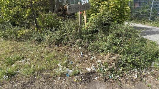 Ein Beispiel für die Verwehungen sieht man hier außerhalb des Firmengeländes in Richtung des angrenzenden Waldwegs.