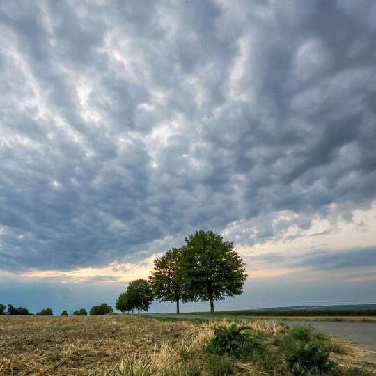Wolken