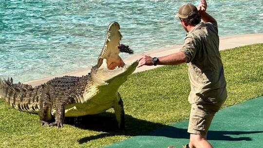 20. Todestag von «Crocodile Hunter» Steve Irwin 20. Todestag von «Crocodile Hunter» Steve Irwin