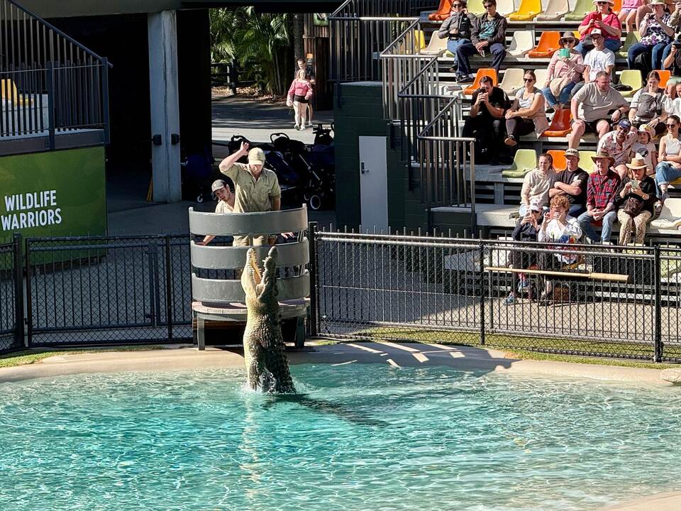 20. Todestag von «Crocodile Hunter» Steve Irwin 20. Todestag von «Crocodile Hunter» Steve Irwin