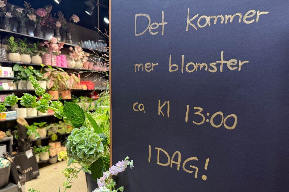 Trauer um König Harald - Blumenverkauf Trauer um König Harald - Blumenverkauf