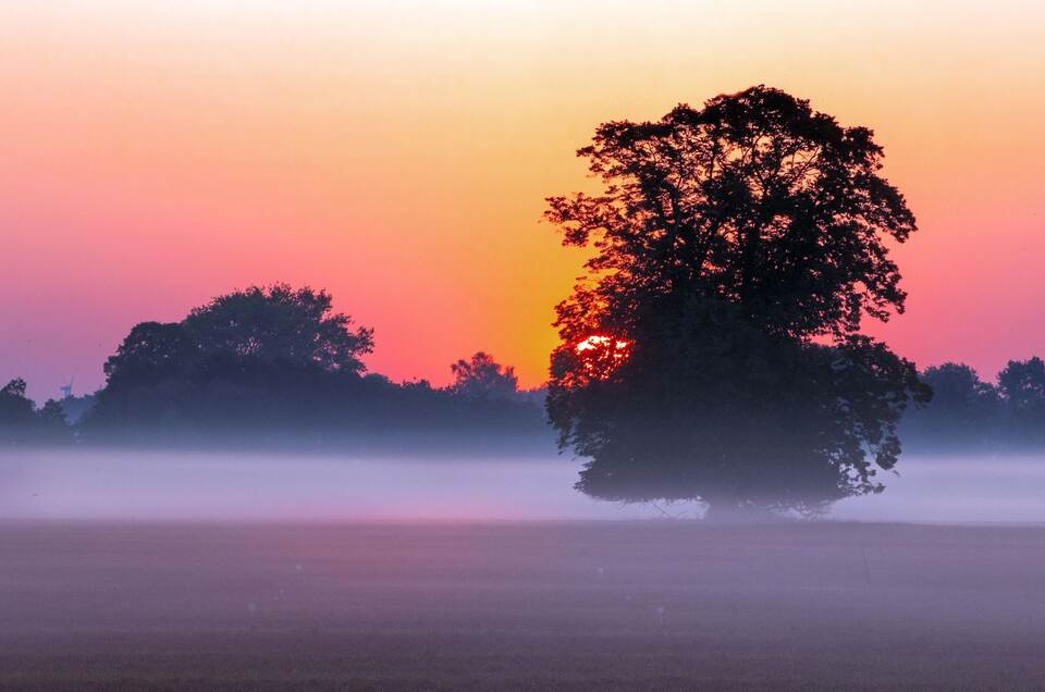 Sonnenaufgang im Morgennebel Sonnenaufgang im Morgennebel