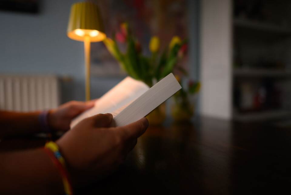 Illustration - Bücher lesen Illustration - Bücher lesen