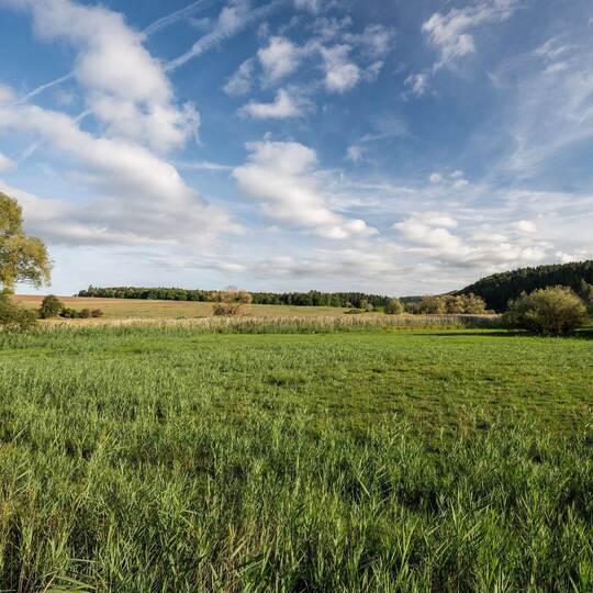 Meteorologischer Herbstanfang