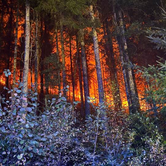 Waldbrand bei Schramberg