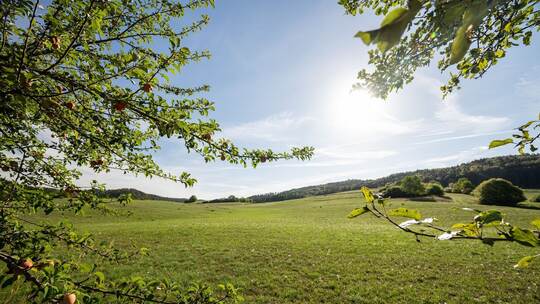 Sonne zurück