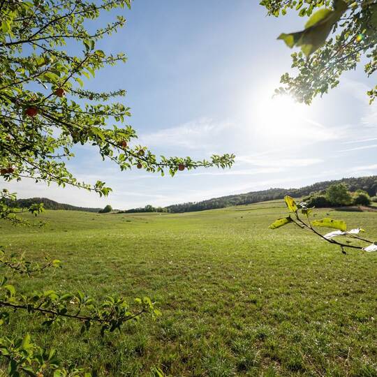 Sonne zurück