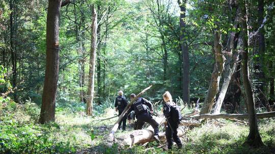 Strom-Sabotage: Suche nach Verdächtigem am Hambacher Forst Strom-Sabotage: Suche nach Verdächtigem am Hambacher Forst