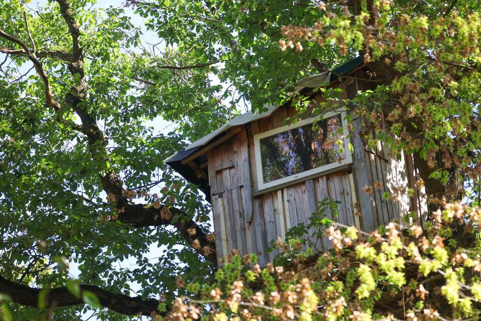 Strom-Sabotage: Suche nach Verdächtigem am Hambacher Forst Strom-Sabotage: Suche nach Verdächtigem am Hambacher Forst
