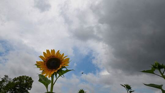 Wetter in Baden-Württemberg
