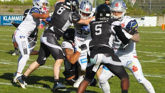 Nach der starken Hauptrunde treffen die Wilddogs Pforzheim (weiße Spielkleidung, hier im Spiel gegen die Berlin Rebels) nun in d