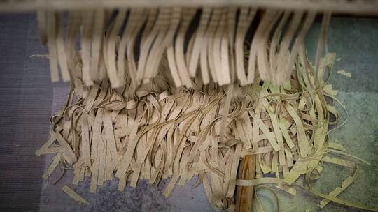 dpa-Story: Insekten essen dpa-Story: Insekten essen