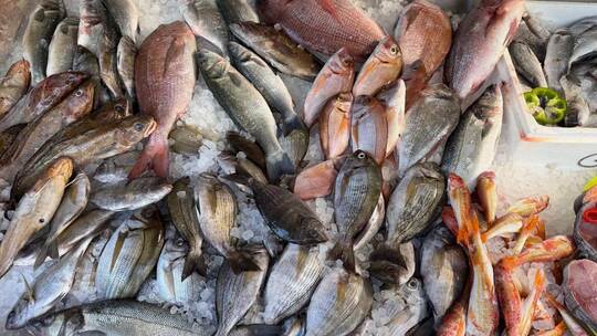 Frischer Fisch in Griechenland