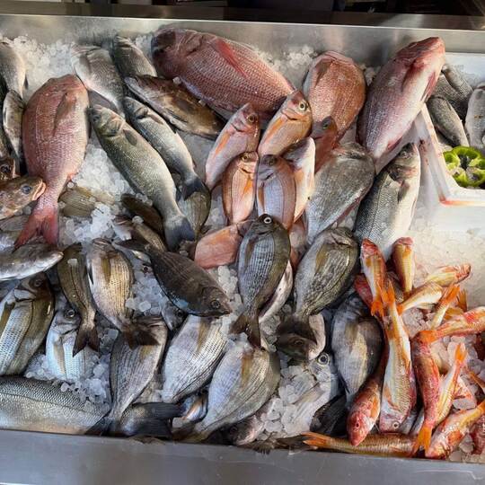 Frischer Fisch in Griechenland