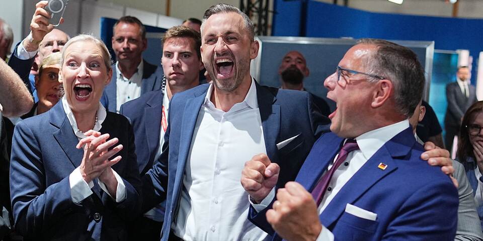 Landtagswahl in Sachsen-Anhalt - AfD Landtagswahl in Sachsen-Anhalt - AfD