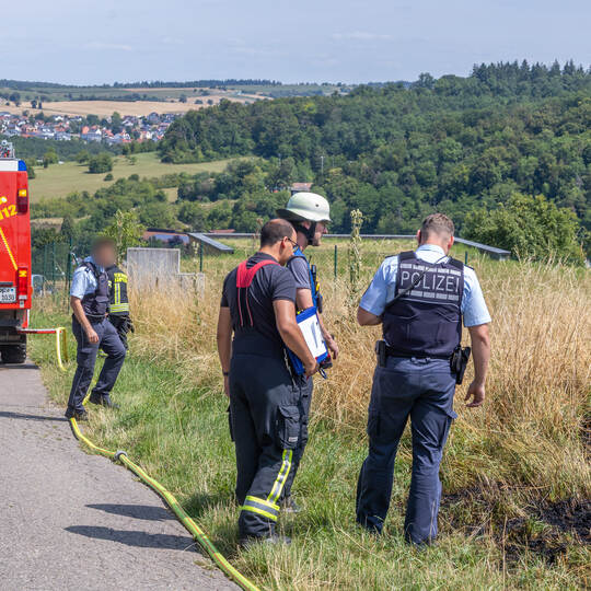 Flächenbrände Bilfingen