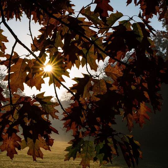 Was der Herbst mit unserem Körper macht Was der Herbst mit unserem Körper macht
