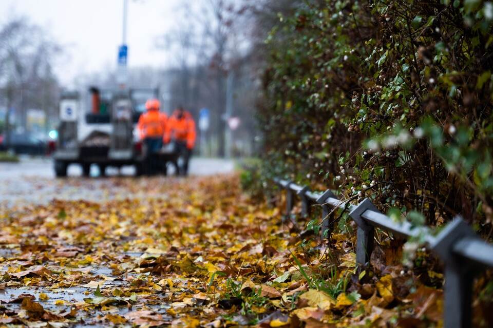 Regnerische Herbsttage Regnerische Herbsttage