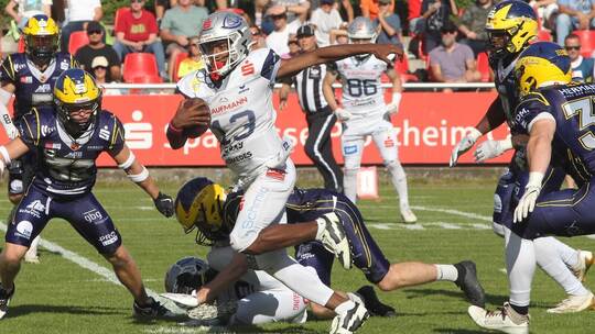 Mit breiter Brust gehen die Wilddogs um Quarterback Drequan Harris (Mitte) ins Play-off-Halbfinale gegen Dresden. Foto: Jürgen K