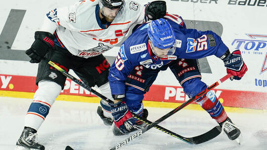 Adler Mannheim - Nürnberg Ice Tigers