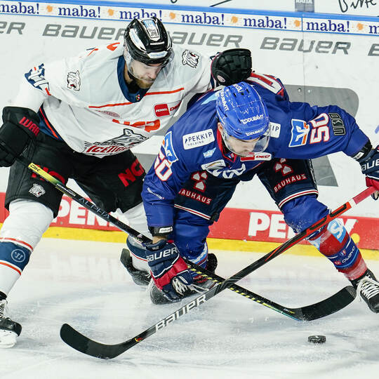 Adler Mannheim - Nürnberg Ice Tigers