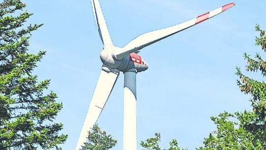 Die Fällarbeiten im Großglattbacher Stadtwald stehen laut Forstamt nicht im Zusammenhang mit dem geplanten Windpark. Sven Hoppe/ Pilotprojekt zur Begrünung von Windenergiestandorten