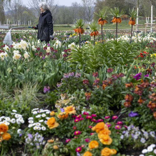 Vorbereitungen Landesgartenschau Ellwangen