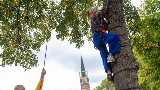 Geht nicht auf die Palme, aber die Linde hoch: PZ-Redakteurin Susanne Roth wagt es, gesichert von Trainerin Sophia Straub vom Wa Outdoor Vibes Waisenhausplatz
