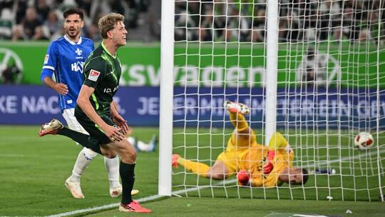 VfL Wolfsburg - SV Darmstadt 98 VfL Wolfsburg - SV Darmstadt 98