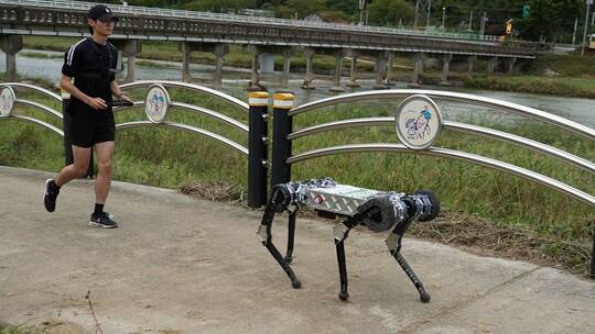 Vierbeiniger Roboter "RAIBO2" in Südkorea