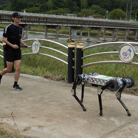Vierbeiniger Roboter "RAIBO2" in Südkorea