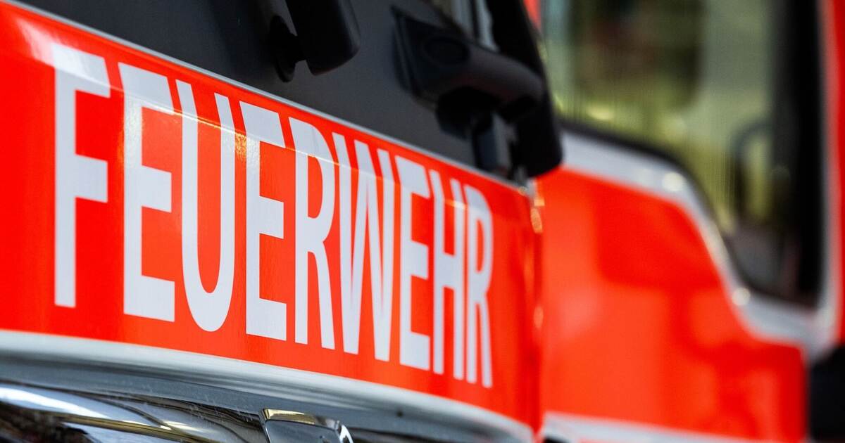 Ungewöhnlicher Geruch: Großeinsatz bei Firma in Eppelheim - Baden-Württemberg - Pforzheimer-Zeitung