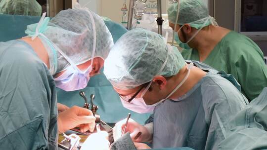 Organspende Organspende