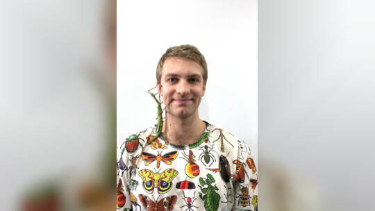 Neue Stabschrecken in Australien entdeckt Neue Stabschrecken in Australien entdeckt