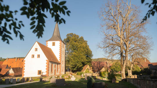 Die Linden am Friedhof Diefenbach sorgten für eine Kontroverse im Sternenfelser Gemeinderat. Foto: Fotomoment