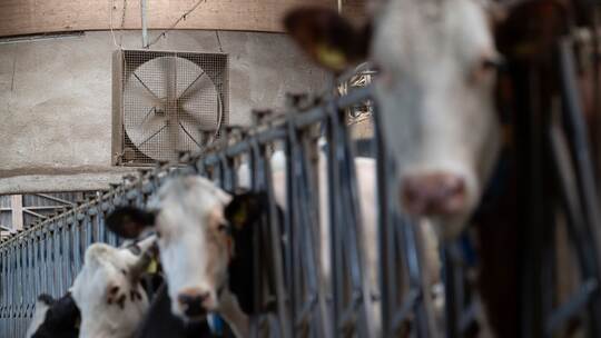 Trockenheit in der Landwirtschaft Trockenheit in der Landwirtschaft