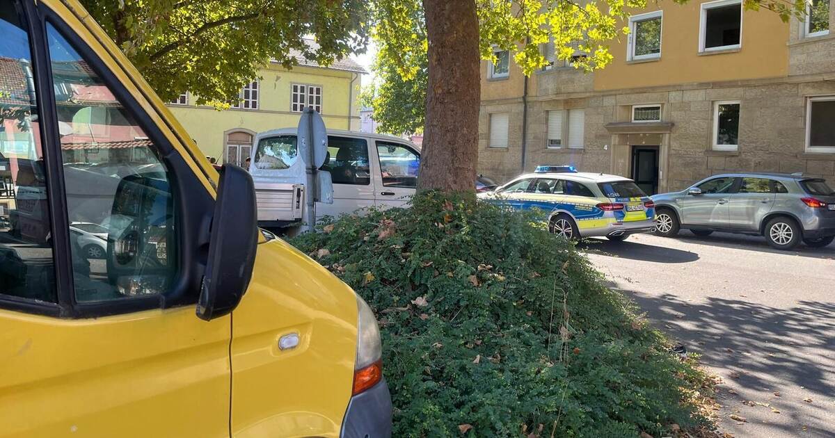 Police dog in action: Fight among Romanians at Enzberg train station