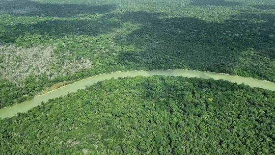 Amazonasgebiet Amazonasgebiet