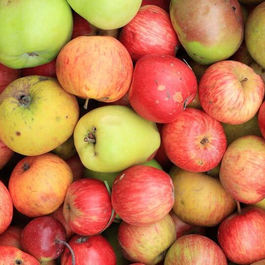 Äpfel