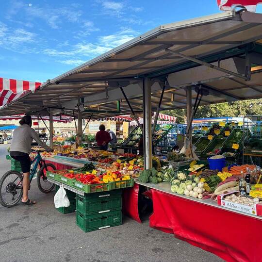 Am 10. Oktober gibt es auf dem Wochenmarkt wieder ein herbstliches Treiben mit Kürbissuppe und rumänischen Krautwickeln. Cikaqi