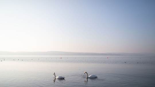 Sonniger Nachmittag am Bodensee Sonniger Nachmittag am Bodensee
