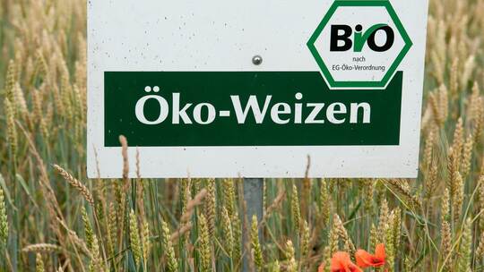 Öko-Weizen Öko-Weizen