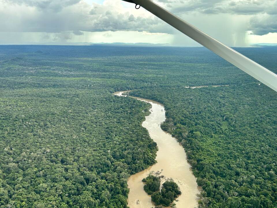 Illegaler Goldabbau im Amazonas Illegaler Goldabbau im Amazonas