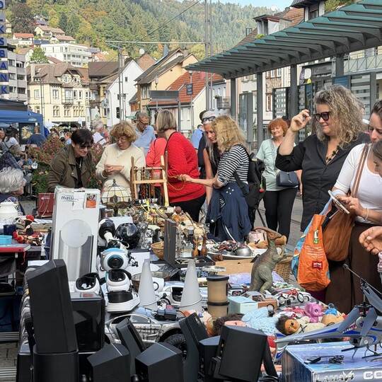 Stöbern, schauen, entdecken: An den zahlreichen Ständen gab es beim Wildbader Herbst einiges zu sehen. Zoller