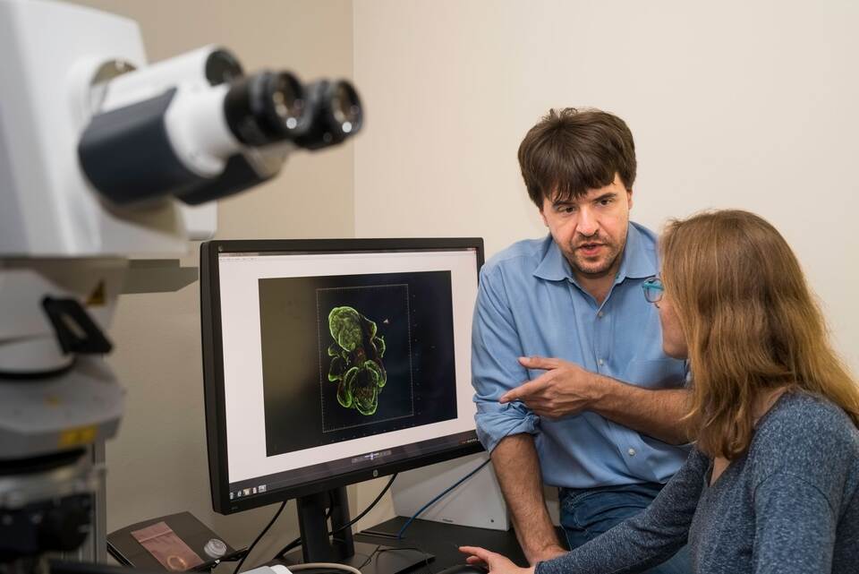 Nobelpreis für Medizin 2026 - Deisseroth